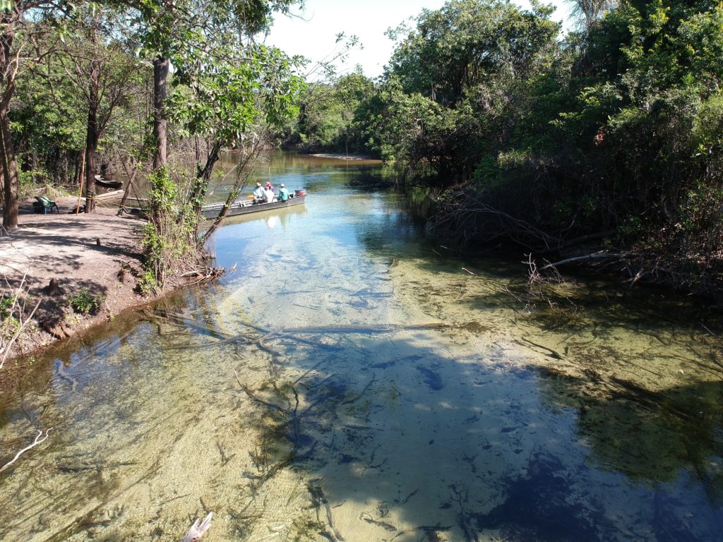 Fish Availability Amazon Tropics