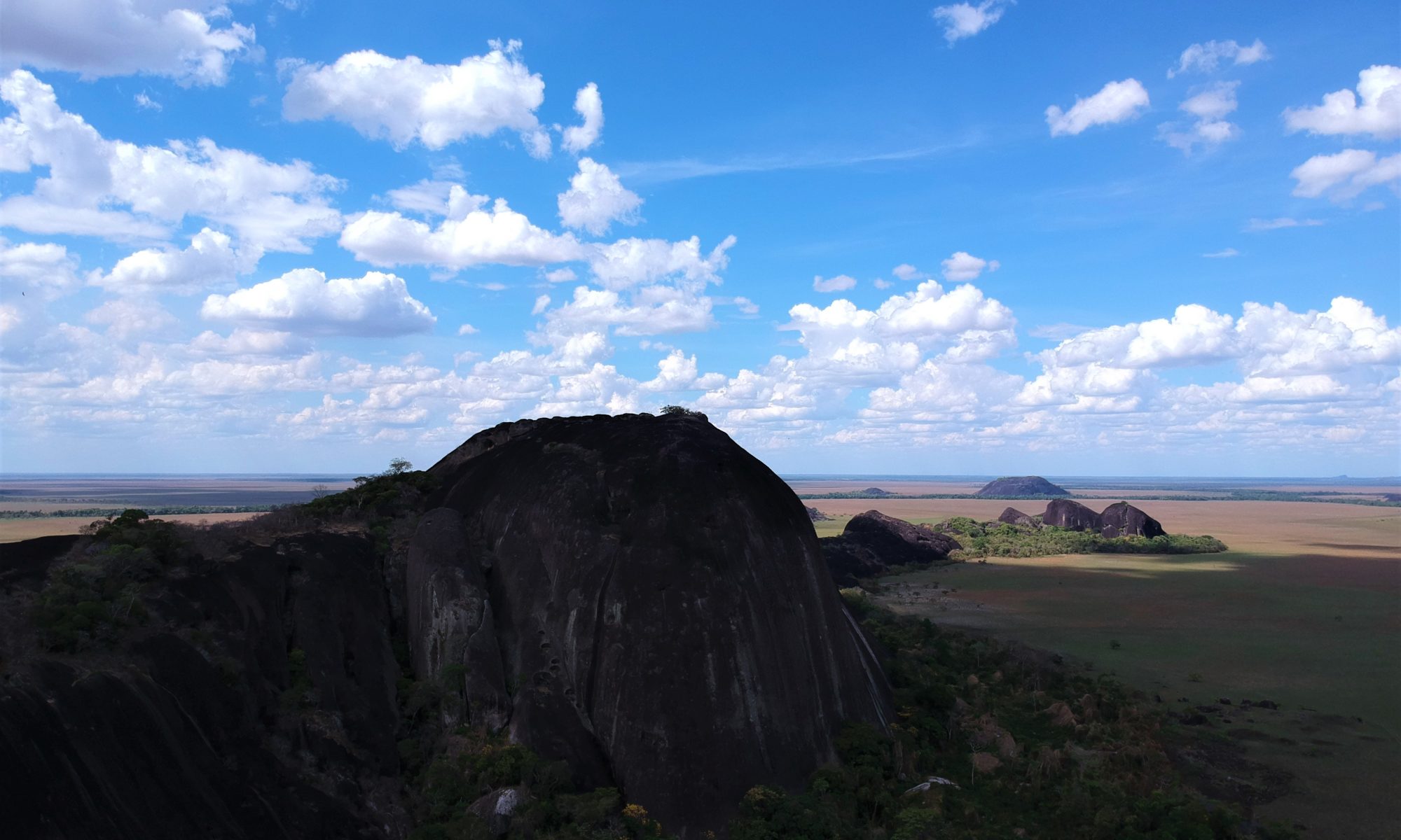 Columbus Killifish Group (CKG) Extravaganza Amazon Tropics